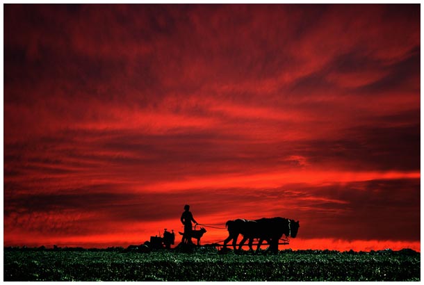 Ein Amish pflügt in Pennsylvania. Foto & Bild ...