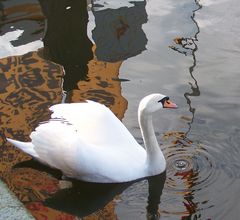 Ein Andenken von Lübeck