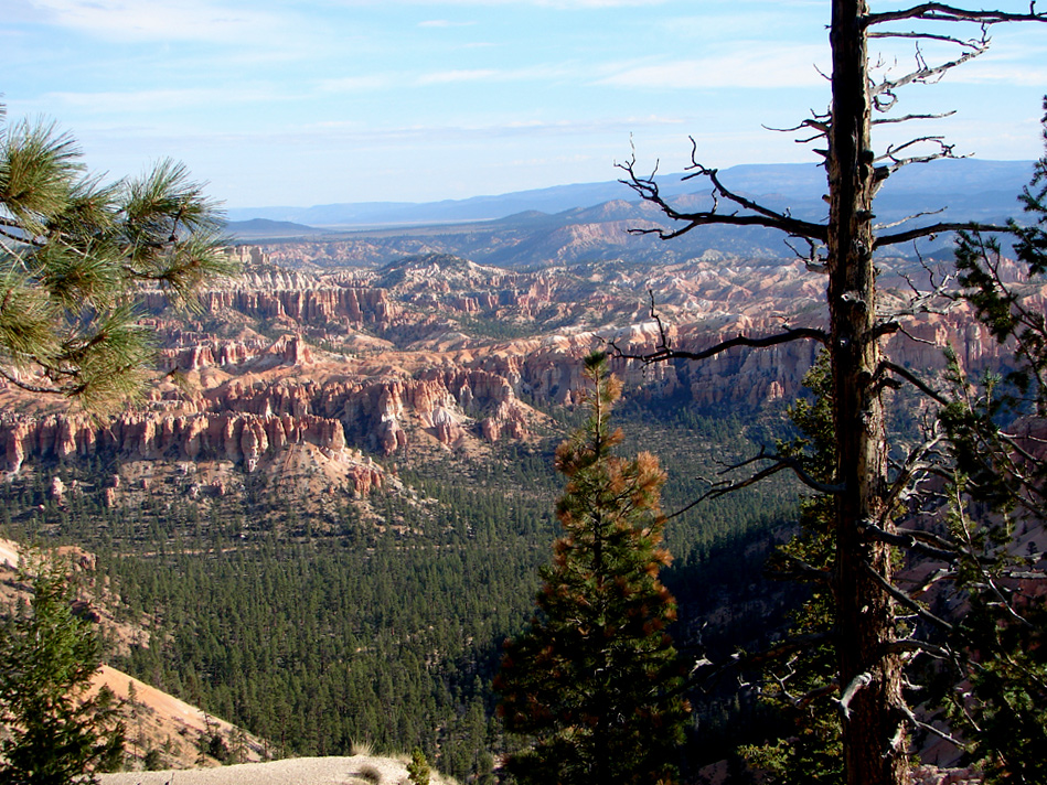 Ein andere Blick in den Bryce Canyon NP