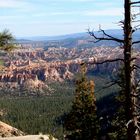 Ein andere Blick in den Bryce Canyon NP