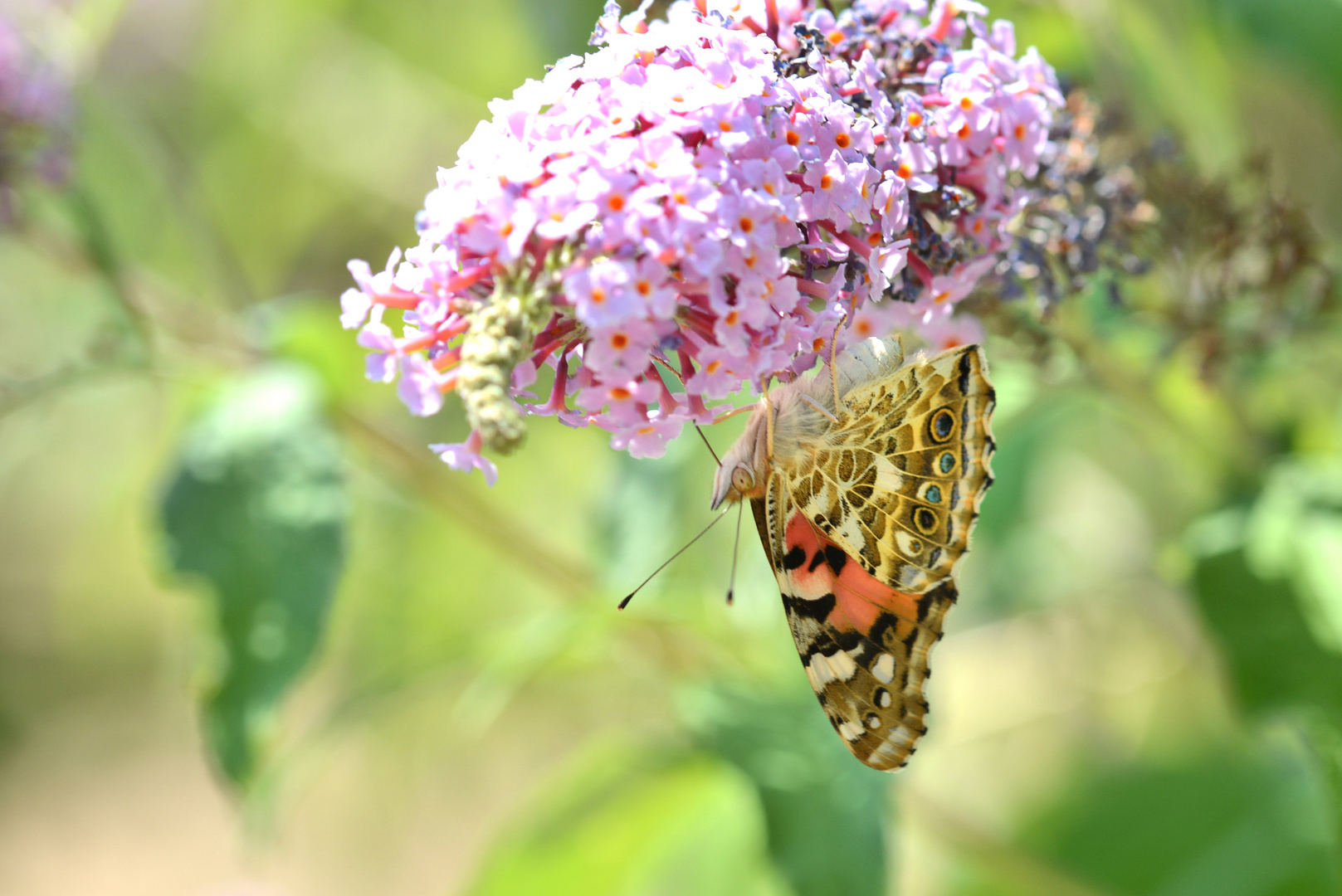 ein anderer Blickwinkel