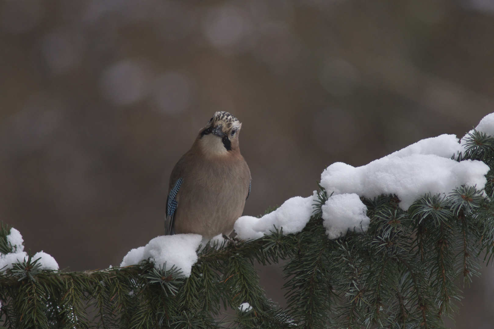 Ein anderer Blickwinkel..................