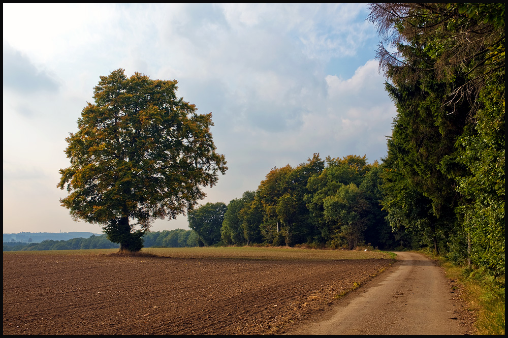 Ein anderer Weg in den Herbst