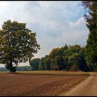 Ein anderer Weg in den Herbst