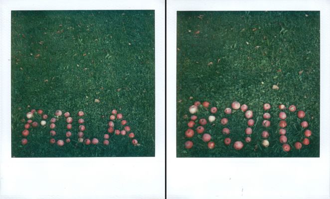 [ein anfang ist kein meisterstück, doch guter anfang halbes glück.]