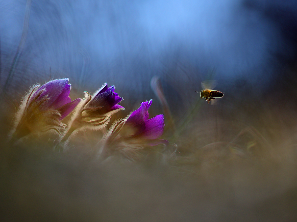 Ein Anflug von Frühling