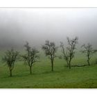 ein anflug von nebel