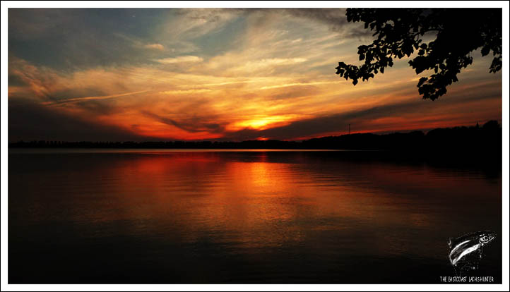 Ein Angelabend am Windebyer Noor in Eckernförde...