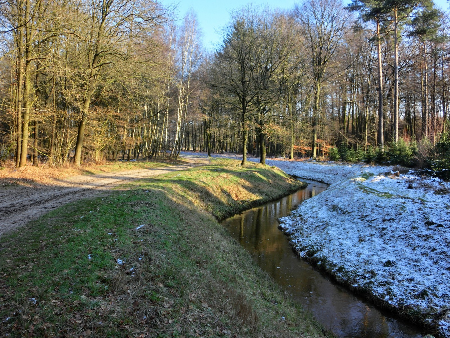 Ein angenehmer Waldweg