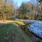 Ein angenehmer Waldweg