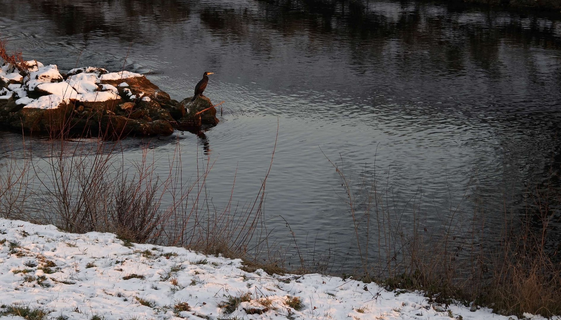 ein Angler im Neckar