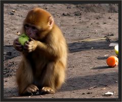 Ein Apfel...