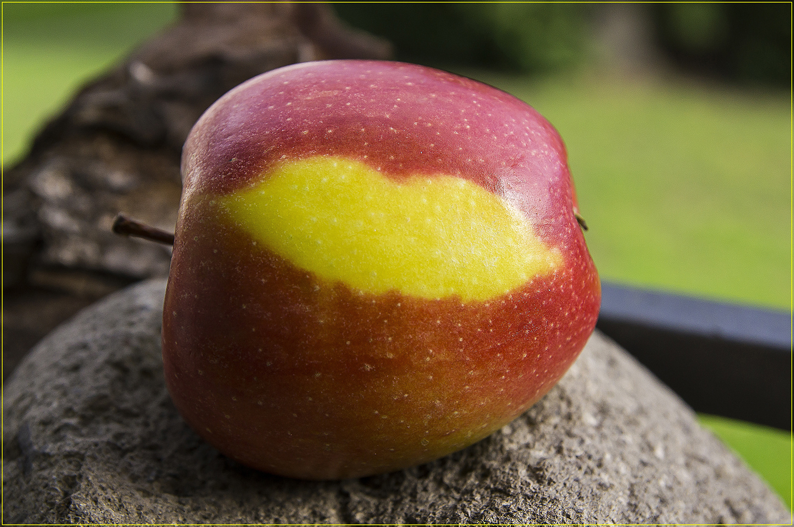 ..ein Apfel zum Küssen