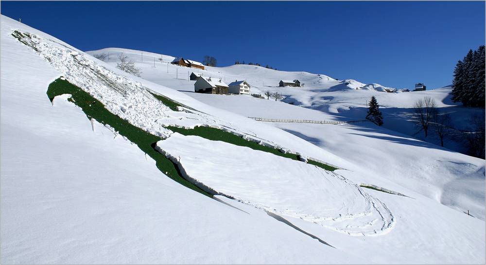 Ein Appenzell Innerrhoder Schneebrettli