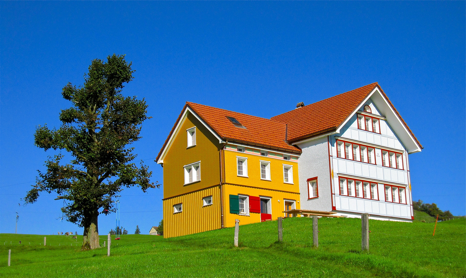 Ein Appenzeller-Haus wie es im Buche steht. Ein Bilderbuch-Appenzellerhaus