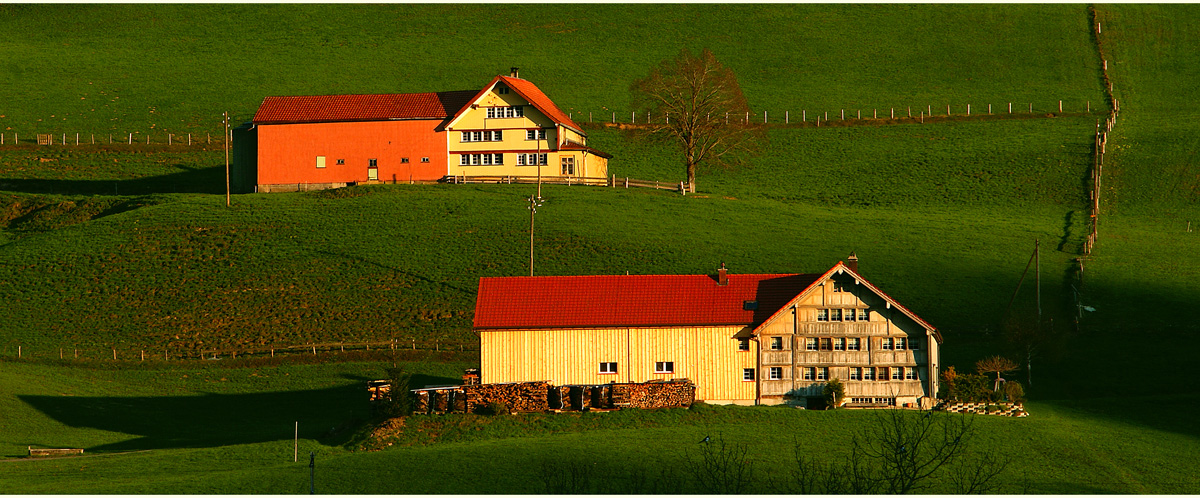 Ein Appenzellerwitz zum Wochenende