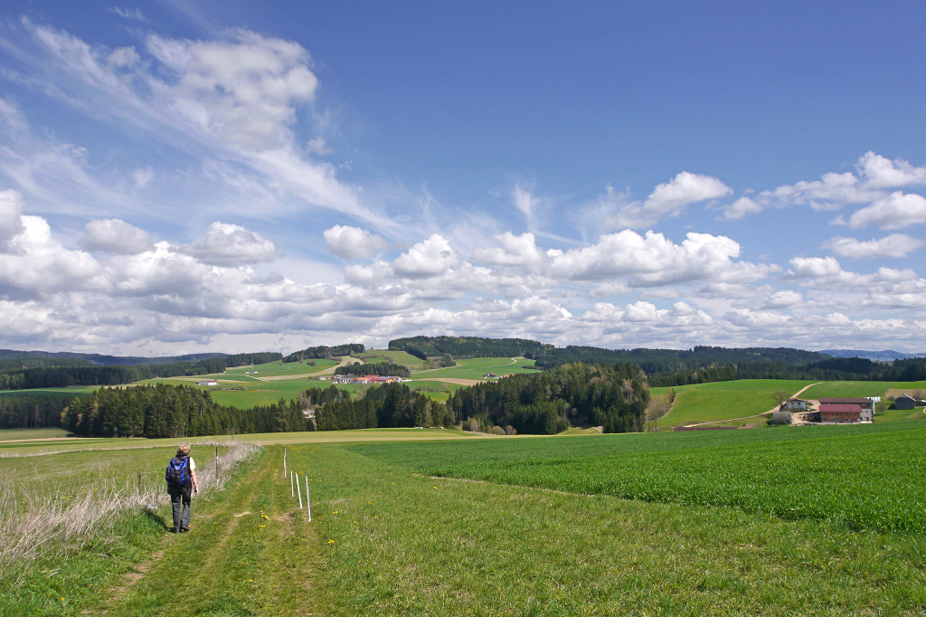 Ein Apriltag im Mühlviertel