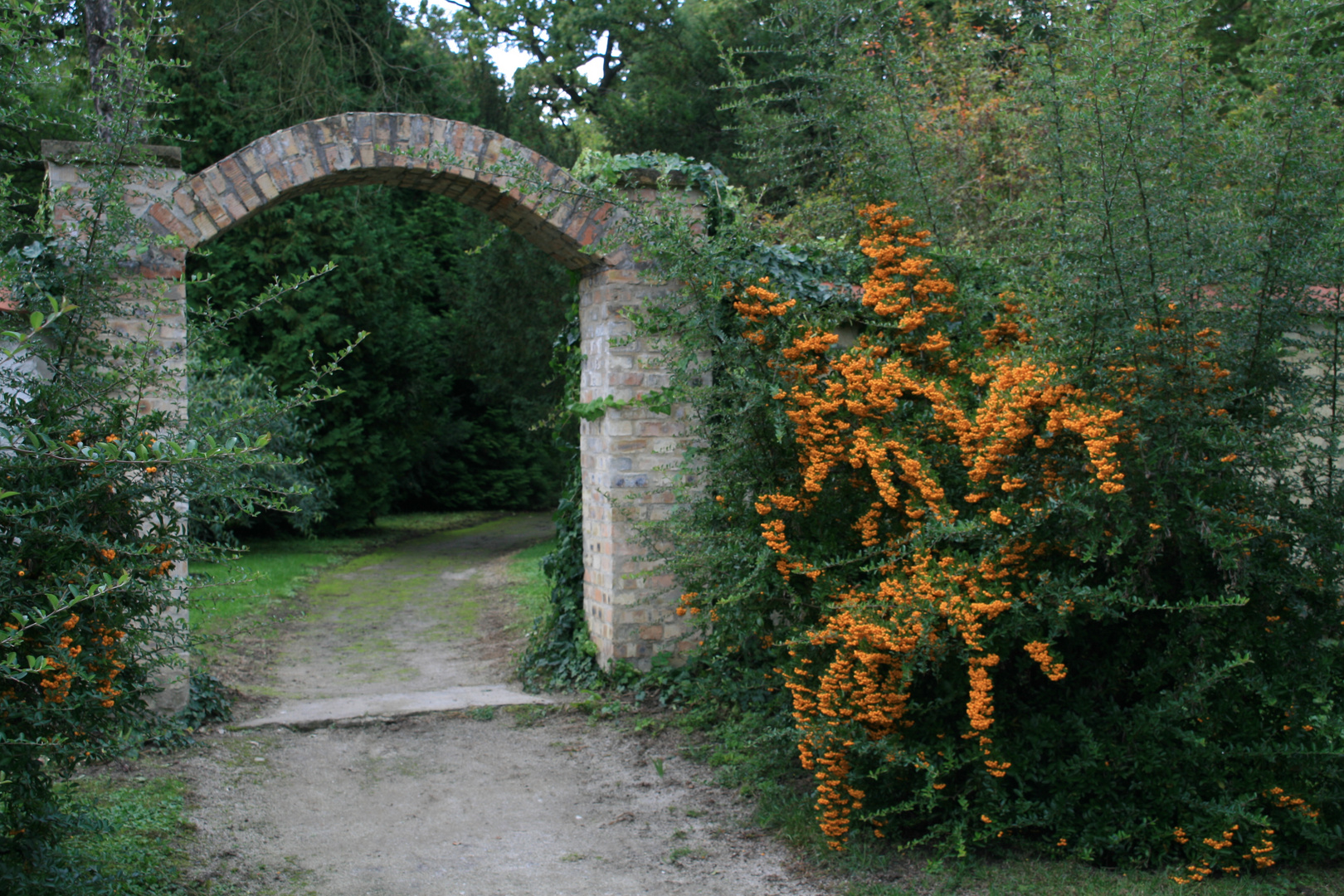 Ein Arboretum in Ungarn