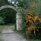 Ein Arboretum in Ungarn