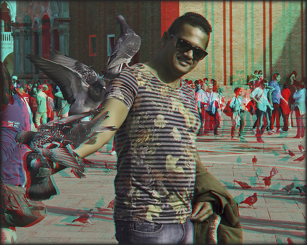 ein Arm voll Tauben (3D)
