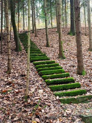 Ein Aufgang für die Feen des Waldes