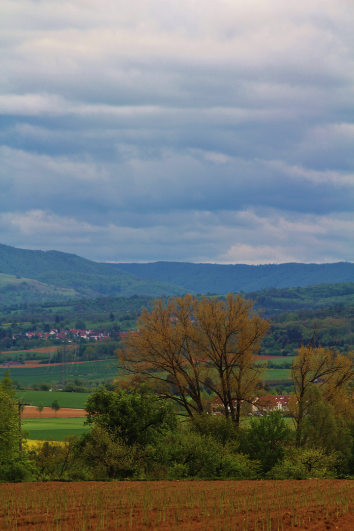 ein aufrechter Blick bis zur schwäbischen Alb