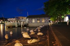 Ein Auge auf Luzern - Schlafplatz am See