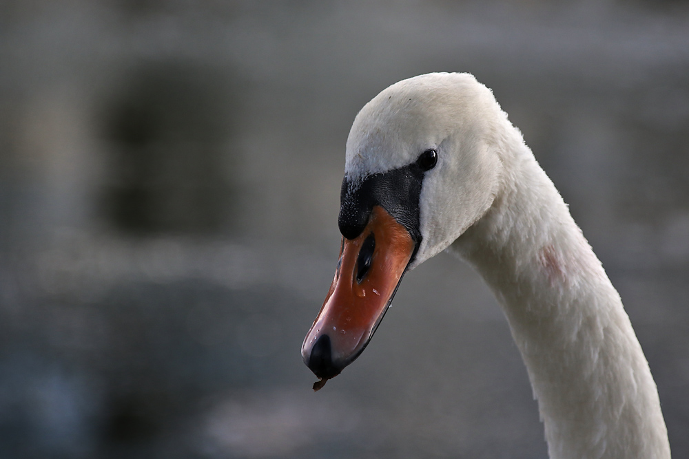 ein Augen-Blick