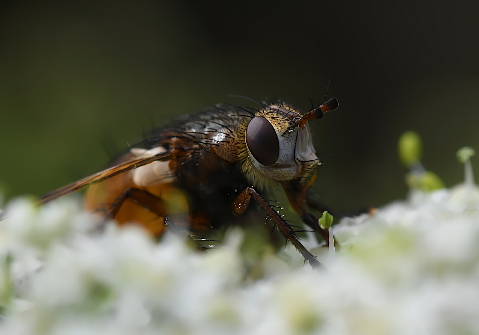 EIN-AUGEN-BLICK