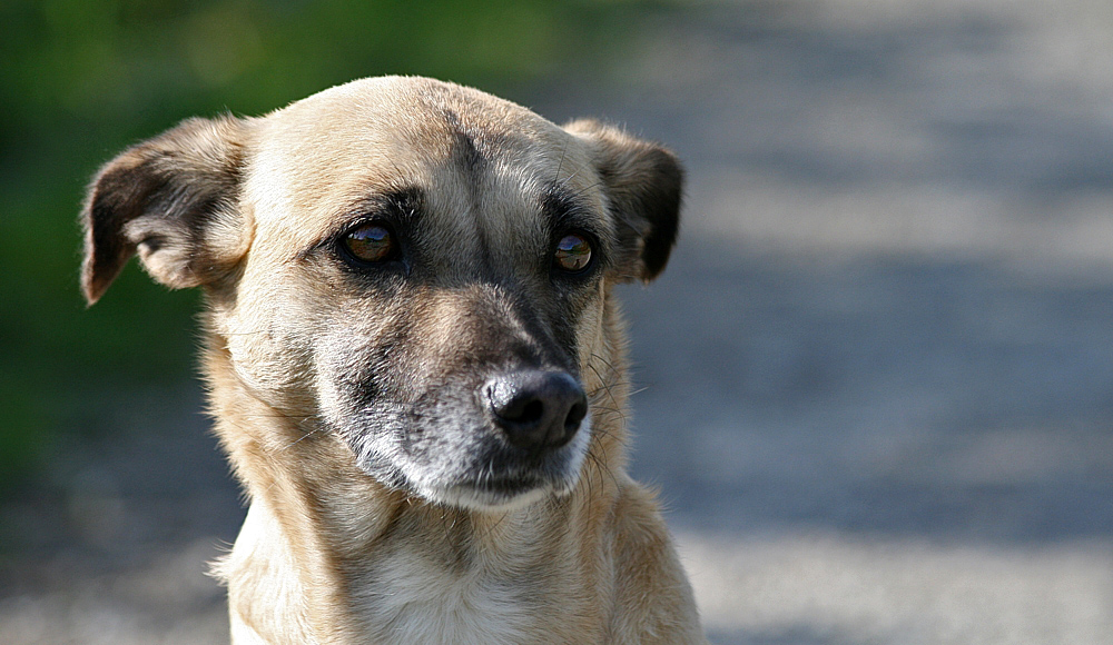 Ein Augen-Blick.....