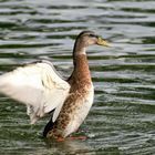 Ein Augenblick am See