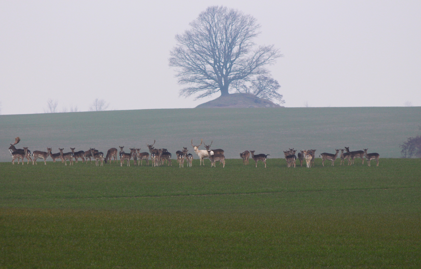 Ein Augenblick der Ehrfurcht