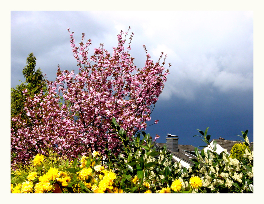 Ein " Augenblick " im Frühling