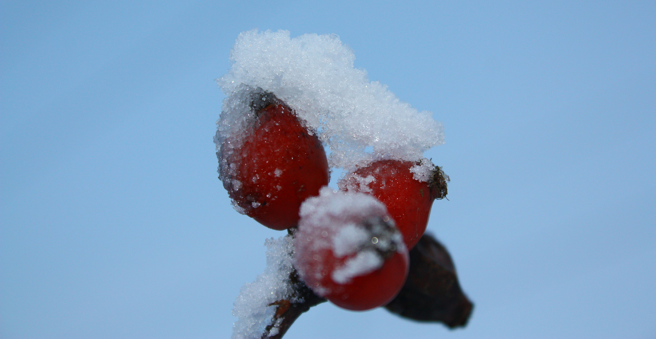 ein Augenblick in rot