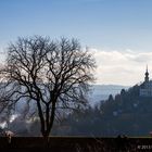 Ein Ausblick von Festung Marienberg