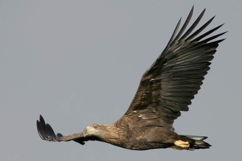 Ein Ausflug...