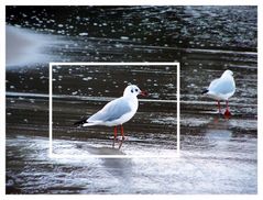 Ein Ausflug am Strand...