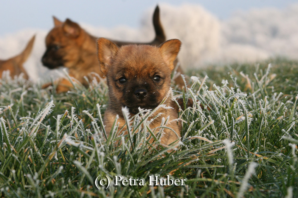 Ein Ausflug im Winter