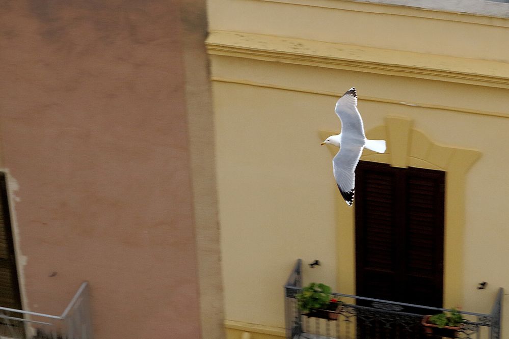 Ein Ausflug in den Ort / Una gita al paese