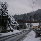 Ein Ausflug ins Gebirge .