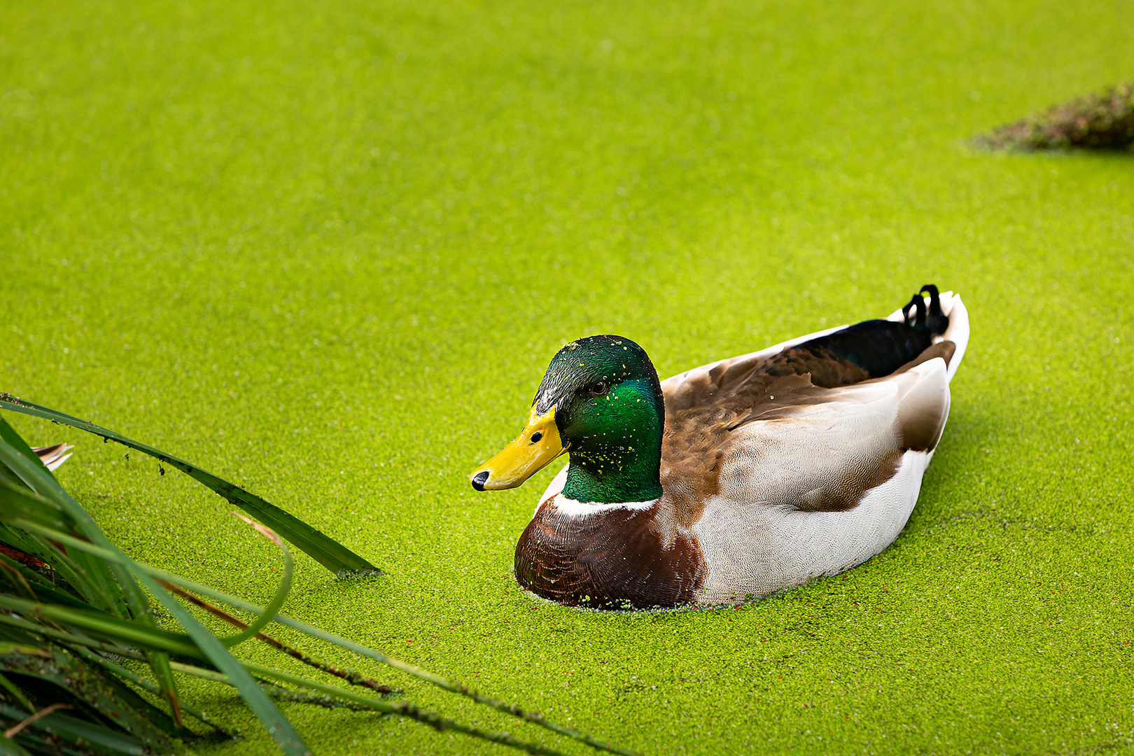 Ein Ausflug ins Grüne