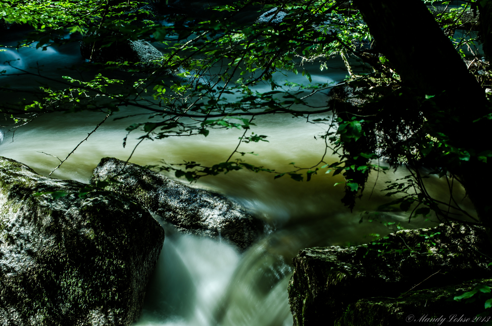 Ein Ausflug ins Pesenbachtal/OÖ