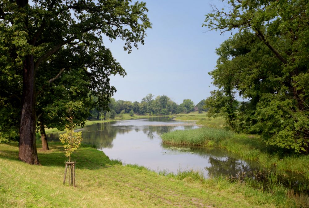 Ein ausgedehnter Spaziergang......