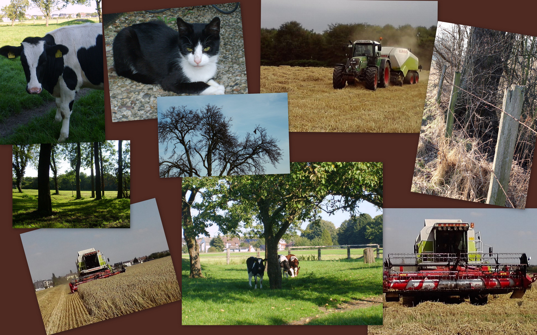 Ein Ausschnitt aus der Landwirtschaft