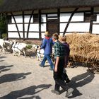 Ein außergewöhnliches Gespann: 8 Ziegen ziehen einen Erntewagen