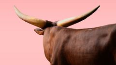 ... ein AUSSTELLER ...