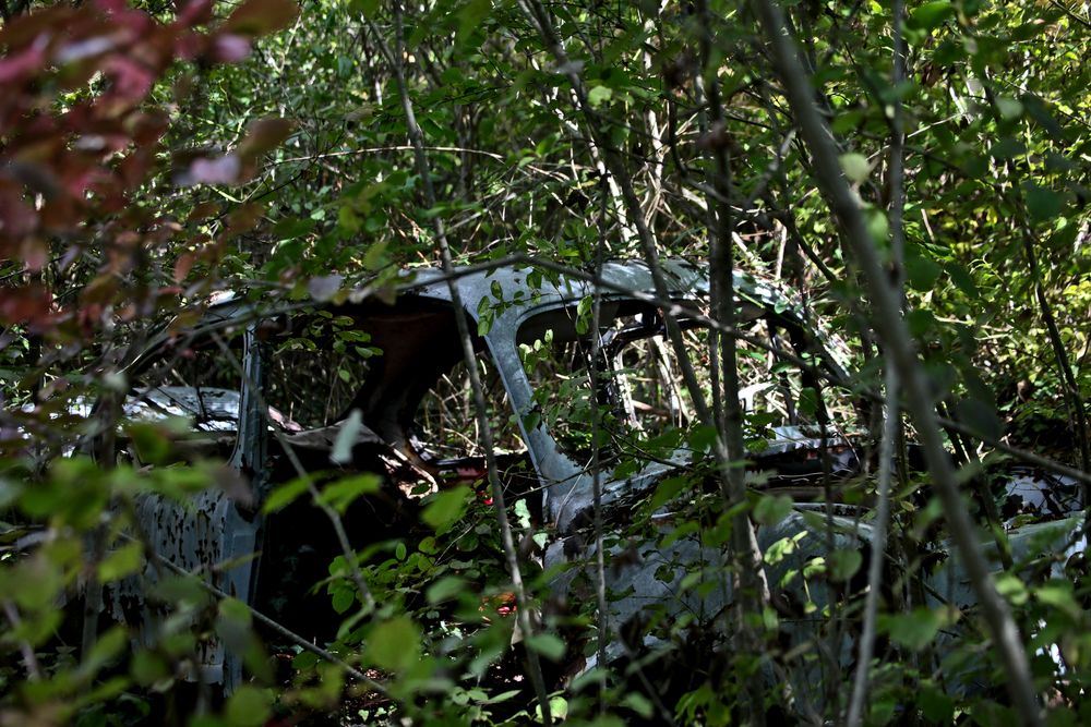 ein Auto steht im Wald