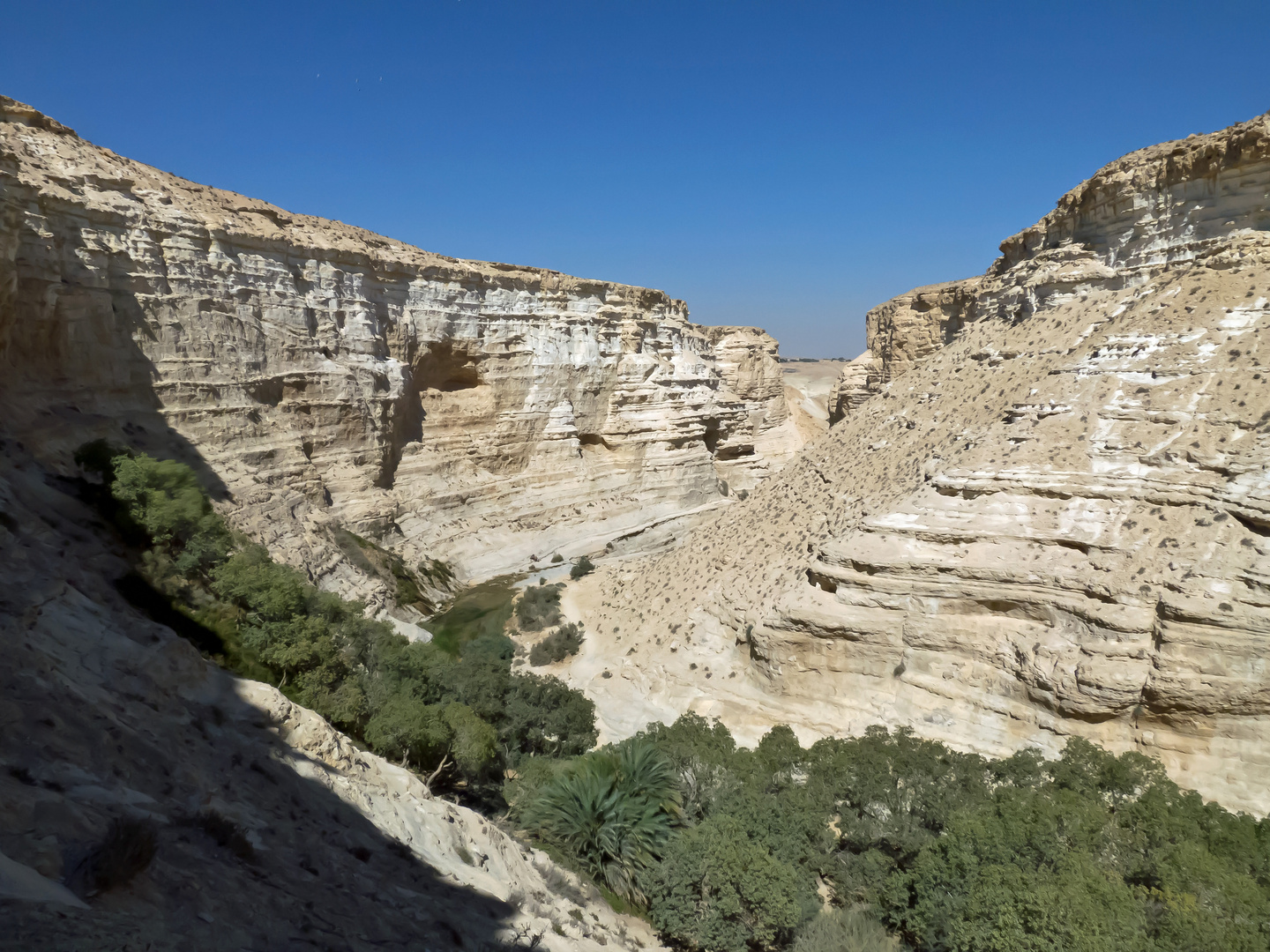 Ein Avdat-Nationalpark 1