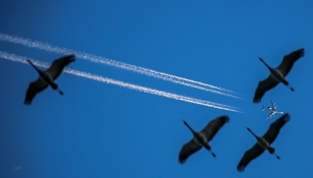 Ein AWACS über Kranichen