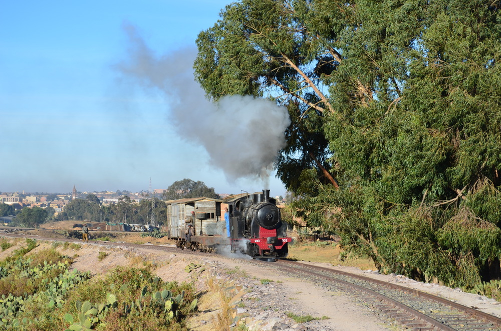 Ein B-Kuppler bei Asmara/Eritrea